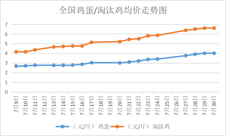 北京大洋路雞蛋今日行情，探尋內(nèi)心平靜的雞蛋之旅