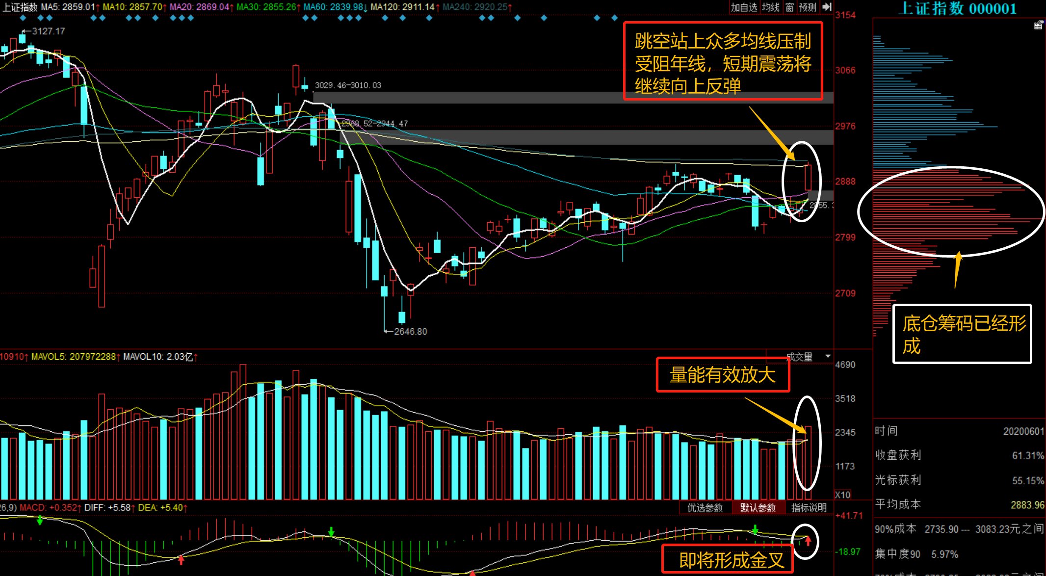 300617股票行情,300617股票行情深度解析，回顧與前景展望