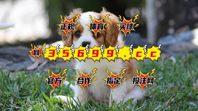 2025澳門特馬今晚開獎(jiǎng)56期的,實(shí)地驗(yàn)證實(shí)施_別致版29.957