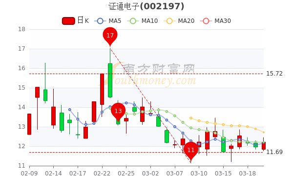 證通電子股票價(jià)格回顧與洞察，深度解析及市場趨勢分析